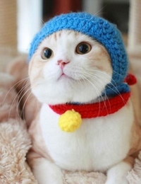 ���B(y��ng)����