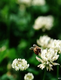 �h�x����