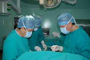 ��ƌ����ڞ黼�߾������g(sh��)