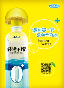 ��͸С�ʺ���