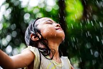 �����(y��ng)�o(h��)�����w3��λ