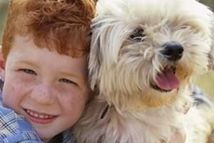 �B(y��ng)����؈�� �����Ľ����к�̎��