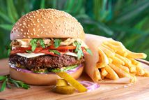 ��֬�ʳ���׶�����