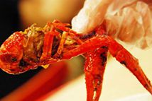 ʳ��С���r ��׃�ɘ�ɫ��