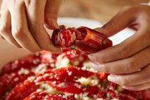 С���rզ�Ը�������ʳˎ�O(ji��n)���ָ��V��