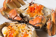 �I(y��ng)�B(y��ng)��������γ��з