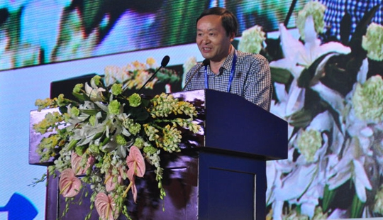 ������?q��ng)?b��o)������W(w��ng)����݋ �����