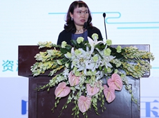 �����t(y��)�������������F(tu��n) ����