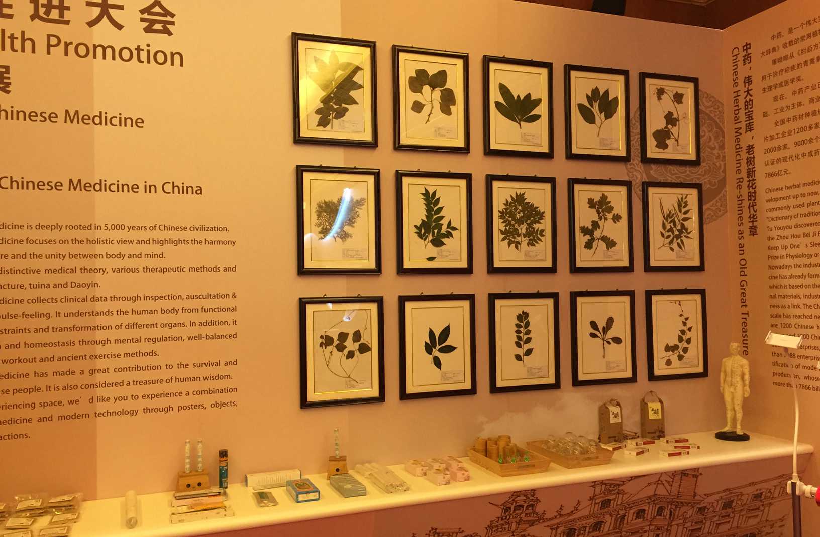 ���t(y��)ˎ�w�(y��n)����(d��ng)չ�^(q��)