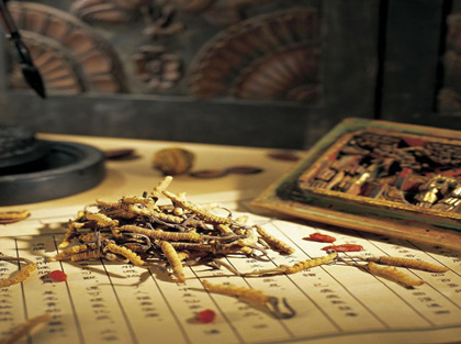 �����l(f��)չ ���d���t(y��)�������ڡ����A���񹲺͇����t(y��)ˎ����7��1�Ռ�ʩ֮�H������������֮��Ҳ��7��1���������A���񹲺͇����t(y��)ˎ������ʽ��ʩ�����t(y��)ˎ�I(y��)���M�������l(f��)չ�������Ěvʷ�r�ڡ������@�����r���Ї���ɫ���Ї��L����ИI(y��)�؄e������ȫ�������·������t(y��)ˎ�I(l��ng)������ӌ��`���Ǉ��҈Զ��l(f��)չ���t(y��)ˎ���������_����ͬһ�����������Ƴ��Ƽs���t(y��)ˎ�l(f��)չ������ƶ��������������cҎ(gu��)�������������c��(chu��ng)�¼��������ѭ���t(y��)ˎ�l(f��)չҎ(gu��)��������ʬF(xi��n)�����}���w�F(xi��n)�������ߵĴ��ǻ��c���������������������ڼ����ʴ_�������t(y��)ˎ�������|(zh��)���Ԝ�����͸����ԭ��������؞�،�ʩ�����t(y��)ˎ�����Ƅ����t(y��)ˎ�I(y��)��Խʽ�l(f��)չ����Ԕ����