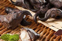 �⌍(sh��)��������ˎ