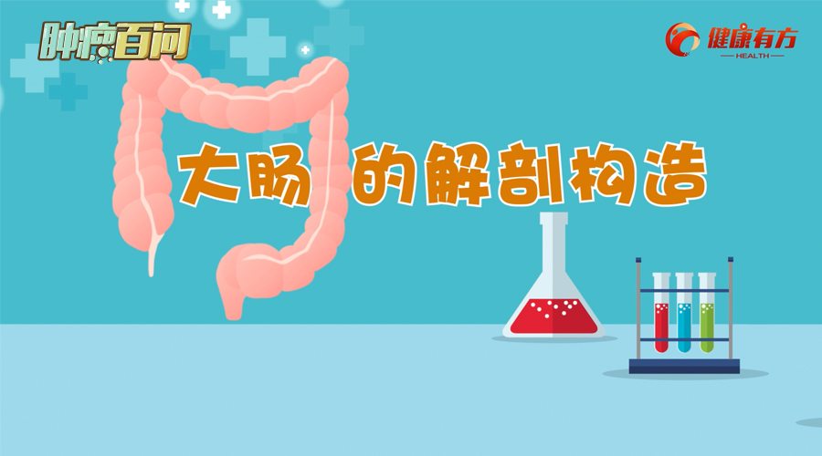 02 ���c�Ľ��ʘ�(g��u)��