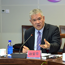 �����r���縱����݋ �w��ƽ 