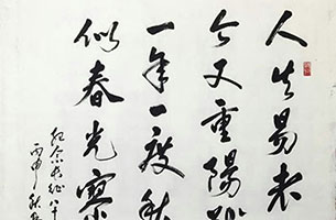 �������Ʒ���p