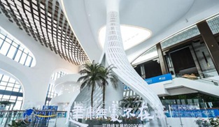 �������o(w��)̎���ڡ�