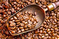 ���ȶ����p�p�c�����P(gu��n)�װY