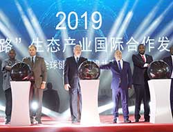 ���񱣅���2019��һ��һ·�����B(t��i)�a(ch��n)�I(y��)��(gu��)�H�����l(f��)չ���(hu��)