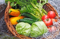 ˮ�����߲�����ϴ���ˆ�