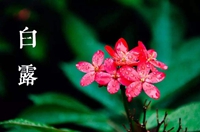 ��¶��(ji��)�⣺�A���β�������