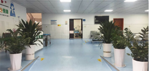 ���ÿh���������t(y��)Ժ