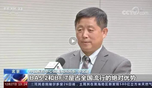 ����(n��i)�Ƿ��е ���׃����������