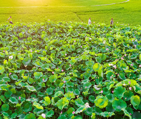 �V���������΅^(q��)��ɫ�����ֿh��ƽ�l(xi��ng)������ĺ�������һ���ɻ������`������������ǰ��(l��i)��������W(w��ng)ӛ������ �z