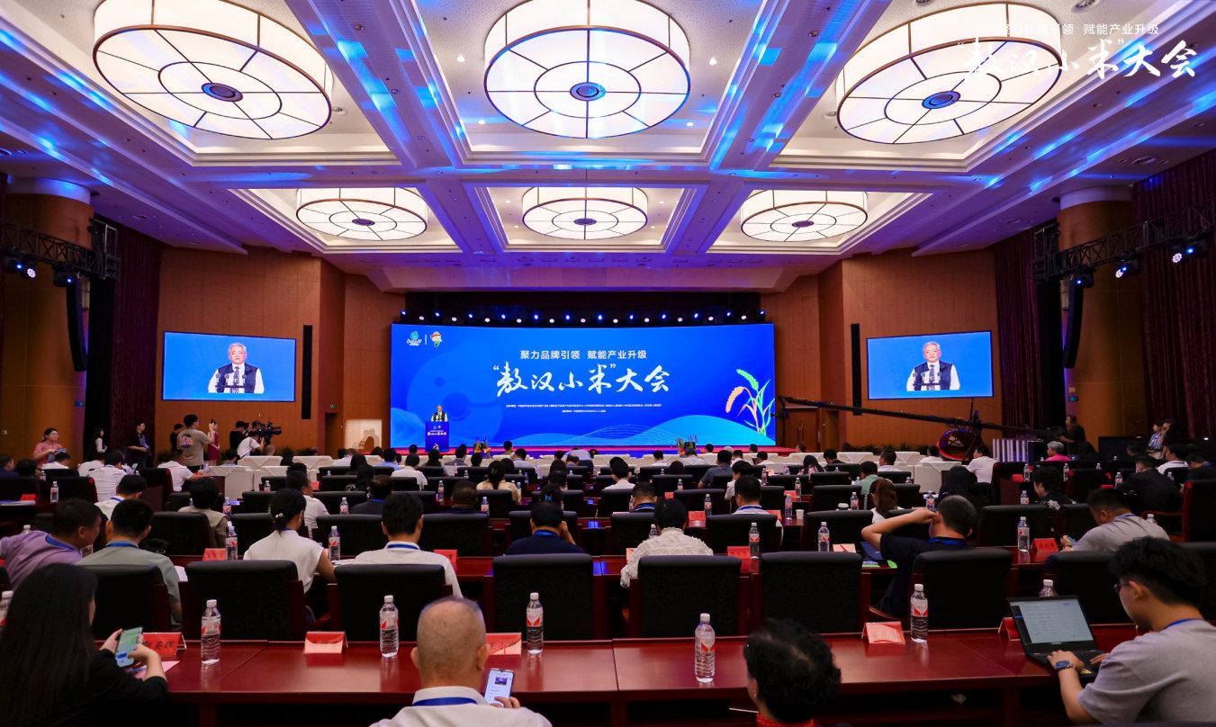 �����hС�ס����(hu��)�F(xi��n)��(ch��ng)��