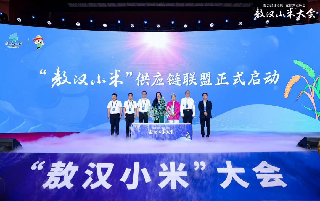 �����hС�ס�����(y��ng)�(li��n)����ʽ����(d��ng)��