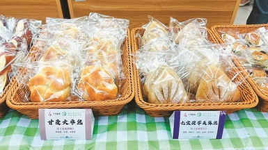 養(yǎng)生面包走紅