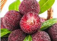 最是楊梅滋味長